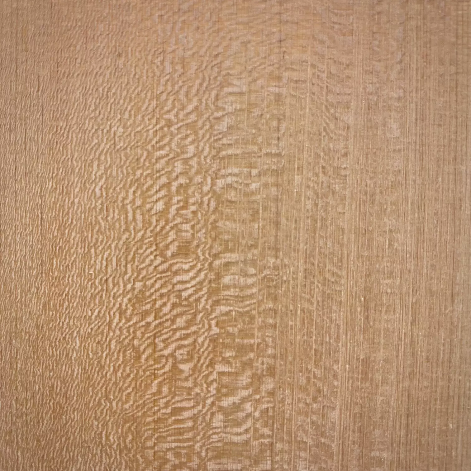 <div>Le Kiso Hinoki de qualité A+ a un grain droit et très serré. La différence de prix avec la qualité A se justifie notamment par la présence d'ondulations que l'on appelle communément dans le tennis de table des "écailles de poisson". Cela ne se manifeste que si le bois a un grain droit et a été coupé au plus près du cœur. C'est un phénomène très rare que l'on ne trouve que pour 1 arbre sur 1000 ce qui reflète l'excellente qualité de ces planchettes.&nbsp;<br><br>Bois stable et dense, dynamique et précis, le Kiso Hinoki, unique en son genre, excelle autant en défense qu’en attaque.&nbsp;<br><br>En défense, il a la particularité d'amortir énormément la balle lorsqu'on le souhaite et de produire une forte inversion de l'effet. A l'inverse, il dévoile toute sa puissance lorsqu'on le sollicite en attaque.<br><br></div>
